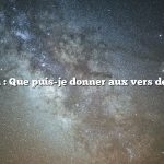 Question : Que puis-je donner aux vers de farine ?